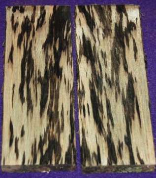 white ebony wood